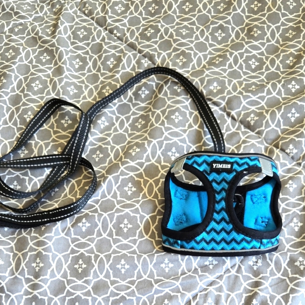 Yimbs Blue Dog Harness and Leash XS Set - Used ONCE